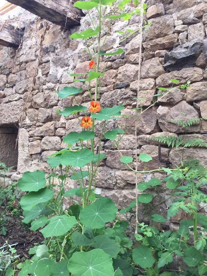 Ecocamping D Hacadour Mellionnec Lüks kamp alanı